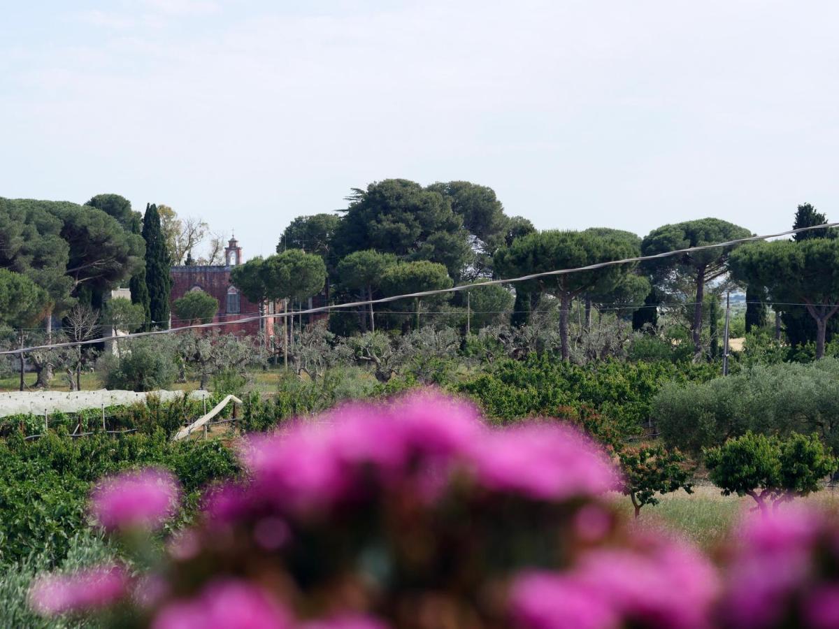 Villa Camilla Mola di Bari Exteriér fotografie